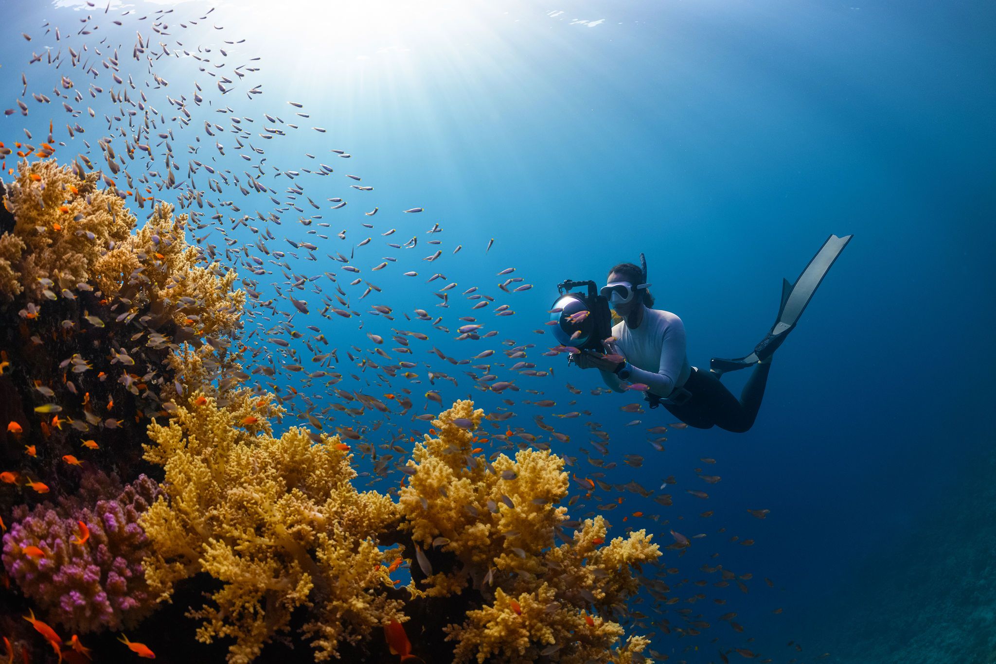استكشاف العالم تحت الماء مع تجارب مائية وغوص متميزة في سندالة