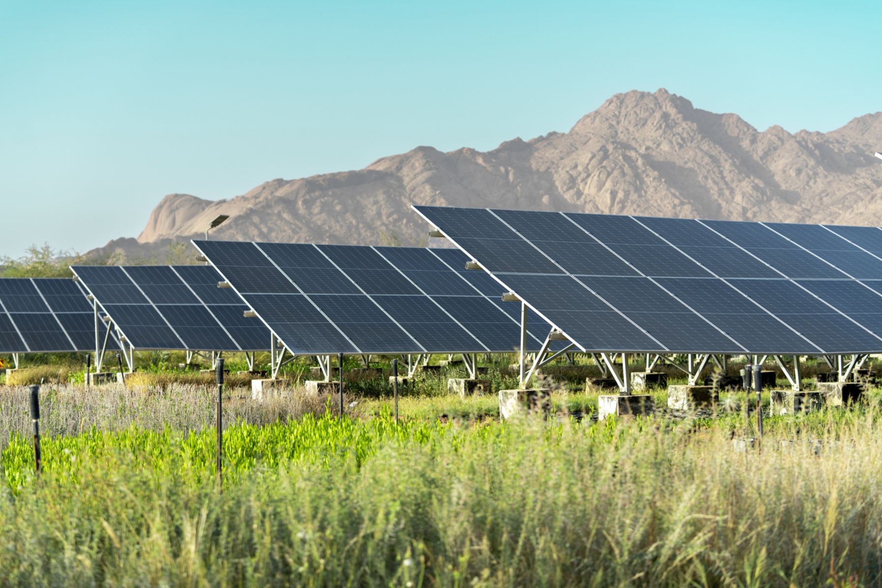 NEOM solar panels landscape x 