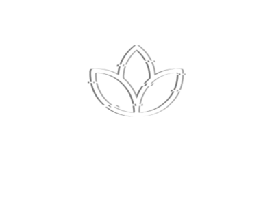 Blossom 加速器标识