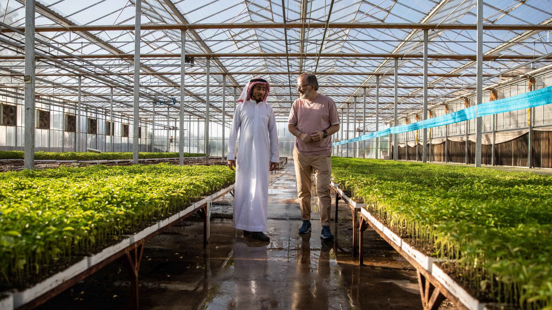 NEOM and CARE's food sector representatives exploring a greenhouse