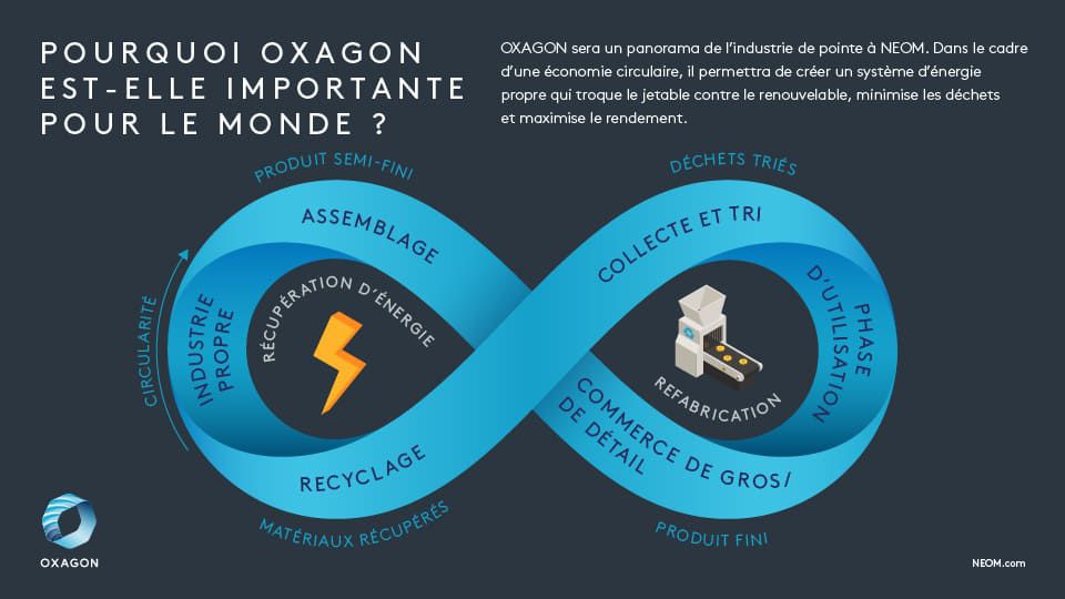 oxagon infographic 7